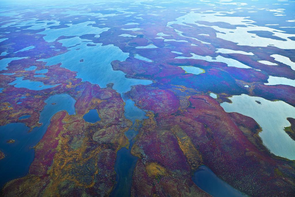Peterson'S Point Lake Lodge Yellowknife Dış mekan fotoğraf