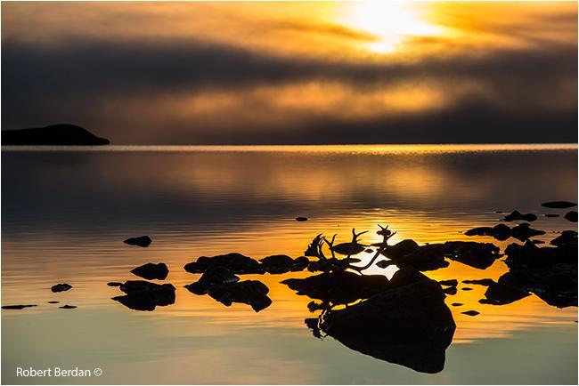 Peterson'S Point Lake Lodge Yellowknife Dış mekan fotoğraf